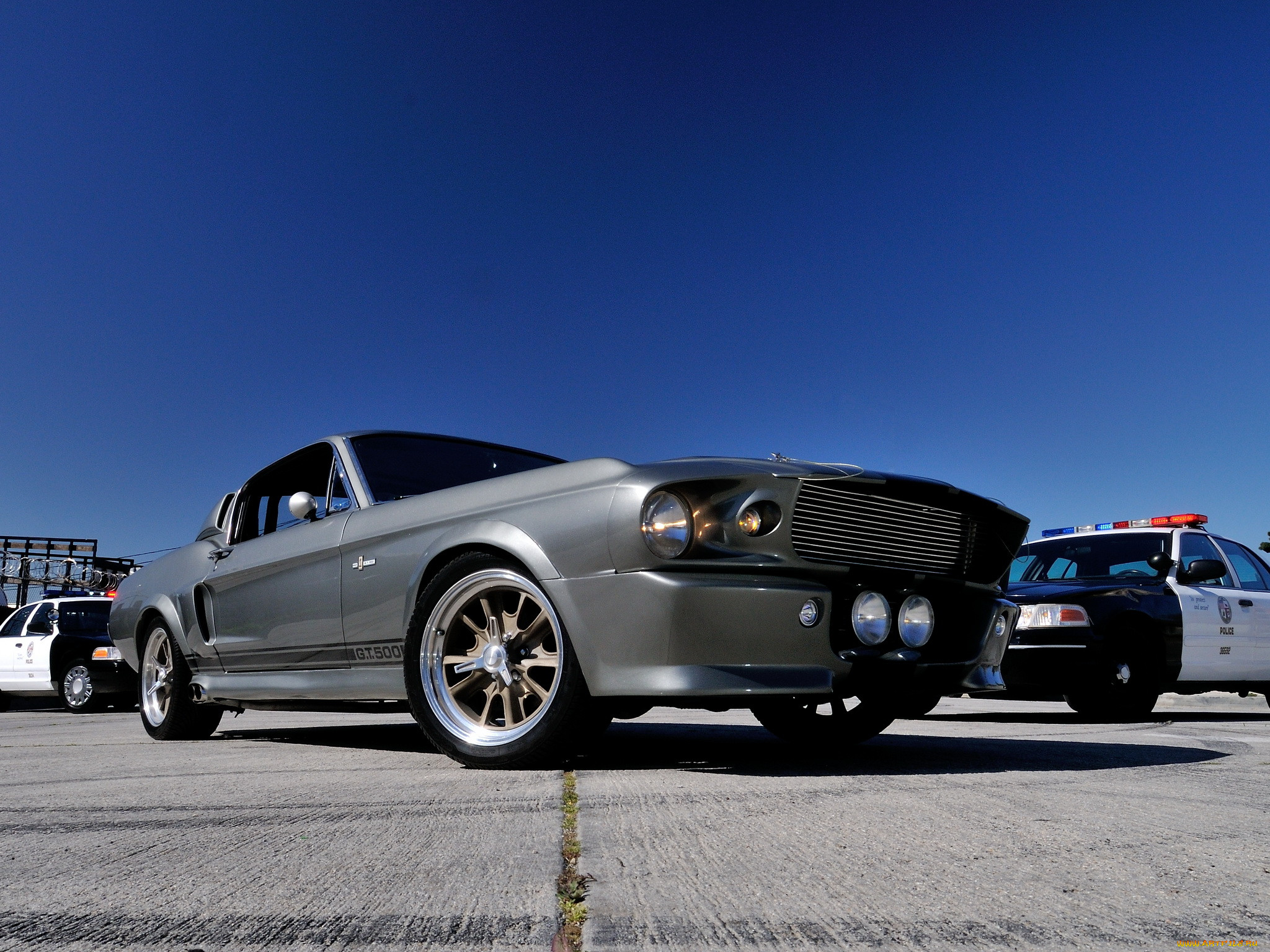 , mustang